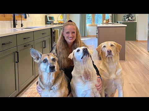 3 dog kitchen remodel by Murphy Bros.