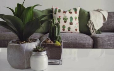 How to Add Spice to Home Decor with Easy Changes