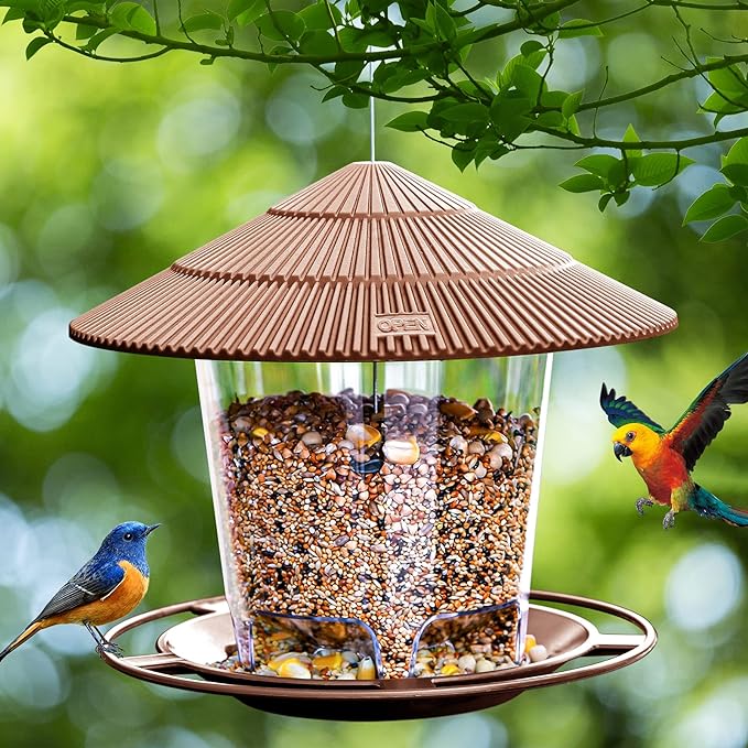 Bird feeder from Amazon