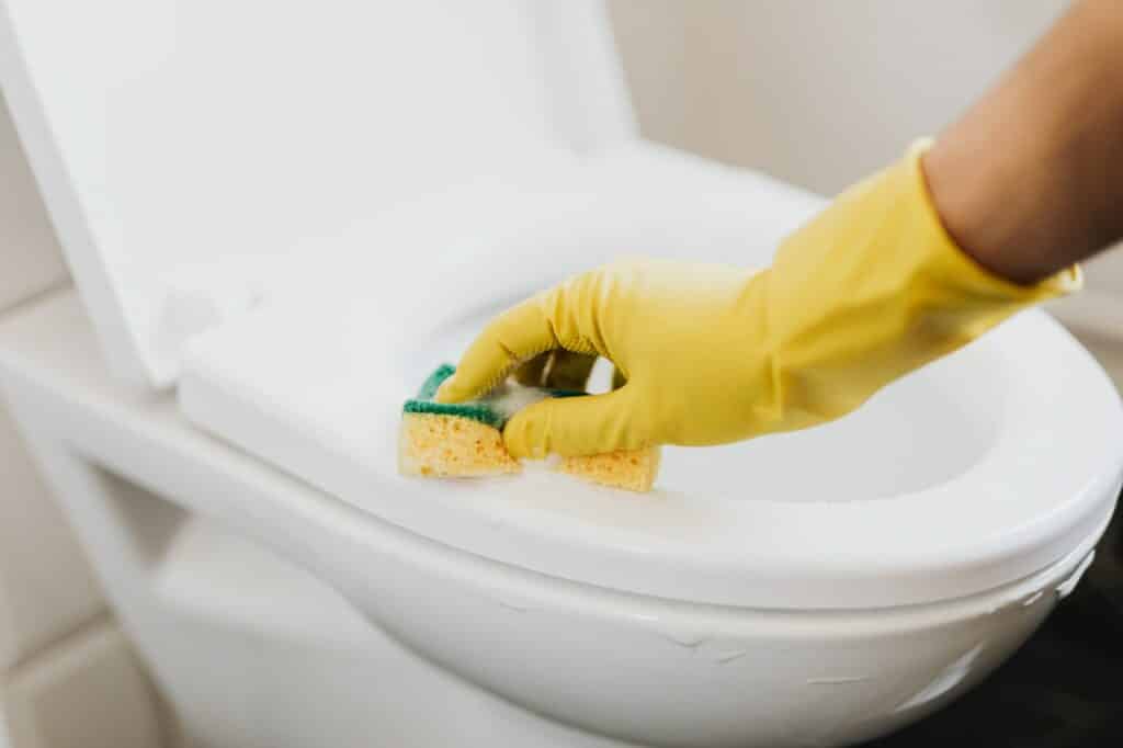 bathroom cleaning tips for toilet