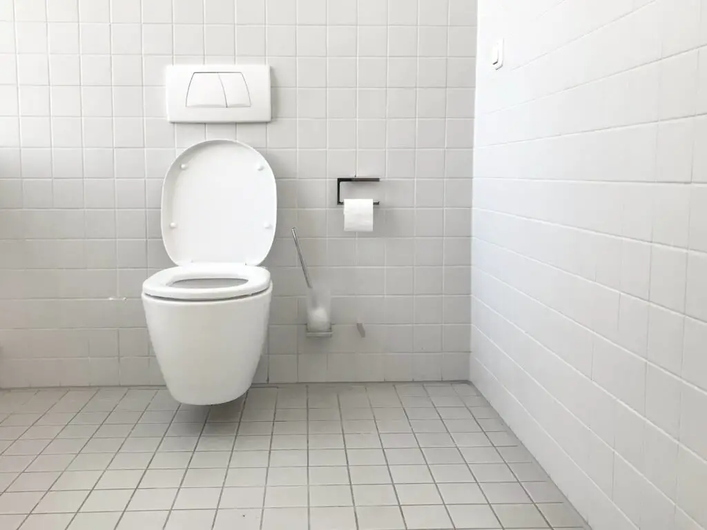 How to Move a Toilet? 