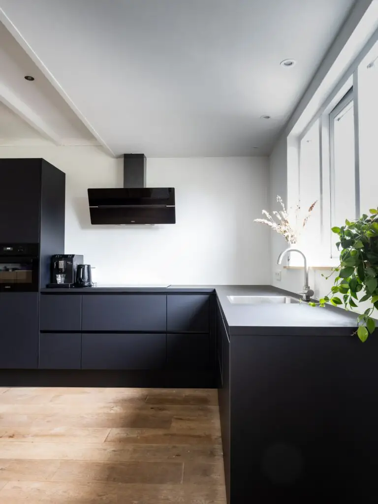 matte black kitchen color