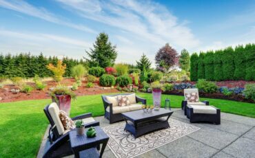 Backyard Trends
