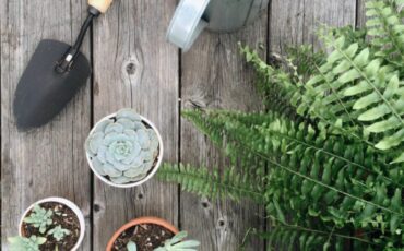 How To Increasing Your Home Value