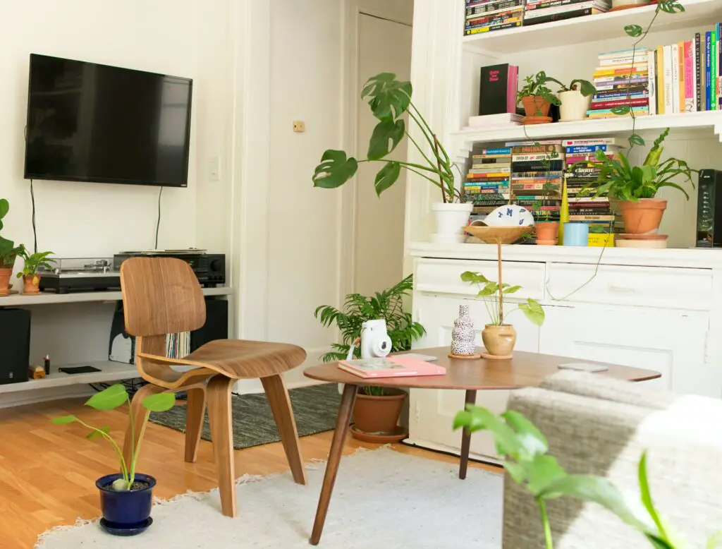 plants apartment decor budget
