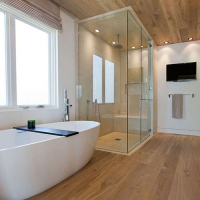 Bathroom Remodeling in Orland Park,AMG Proline