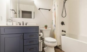 Bathroom remodel in Rockford, Luxury Kitchen & Bath Design Studio