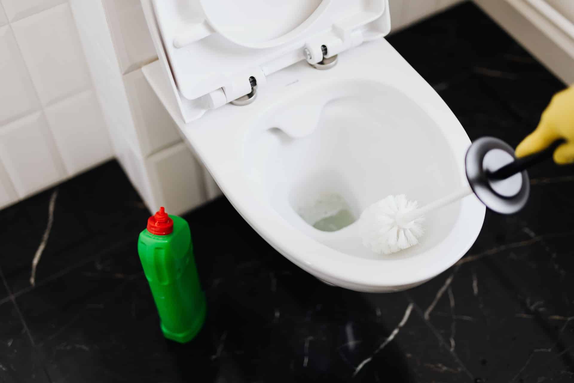 how to replace toilets