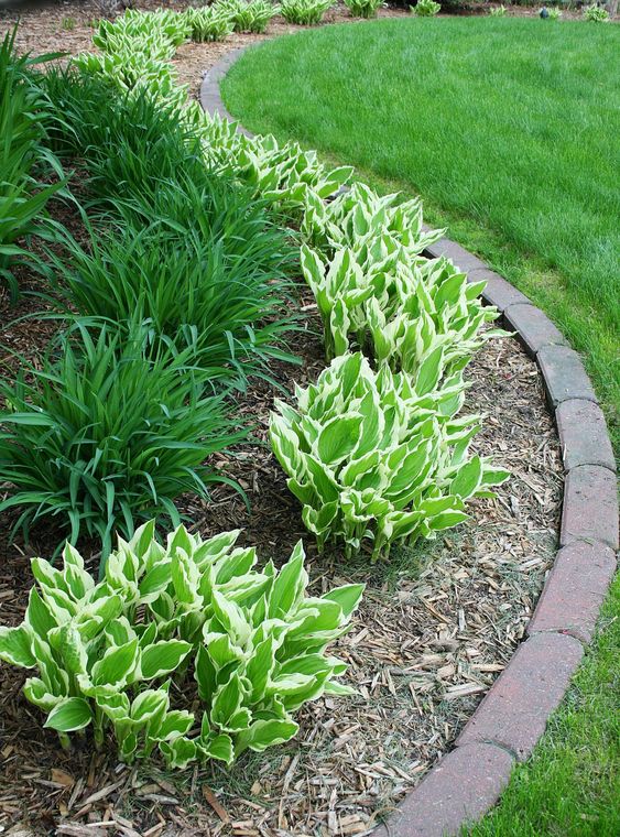 front yard landscaping ideas with rocks and mulch