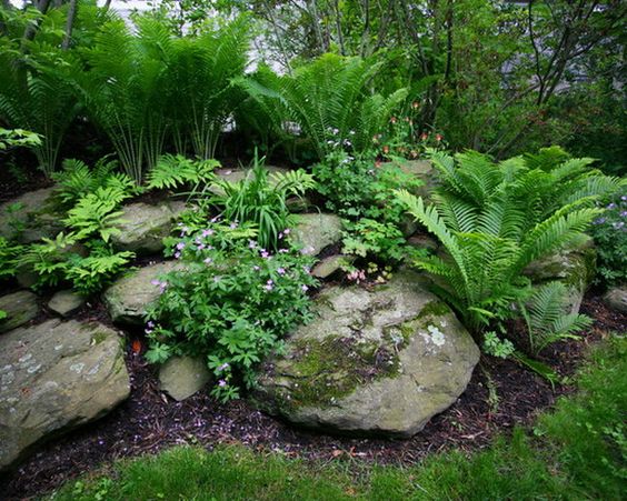 front yard landscaping ideas with rocks and mulch