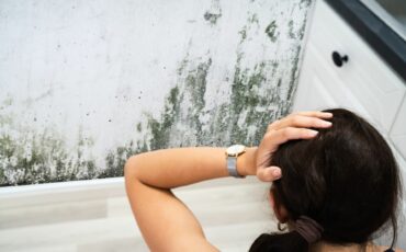 Mold VS Mildew: What’s The Difference?