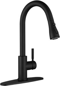 black kitchen faucet