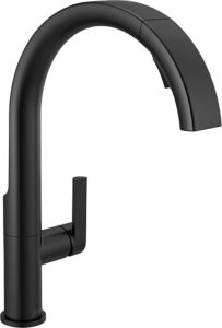 black kitchen faucet