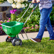how to fertilize lawn