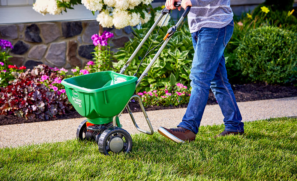 how to fertilize lawn