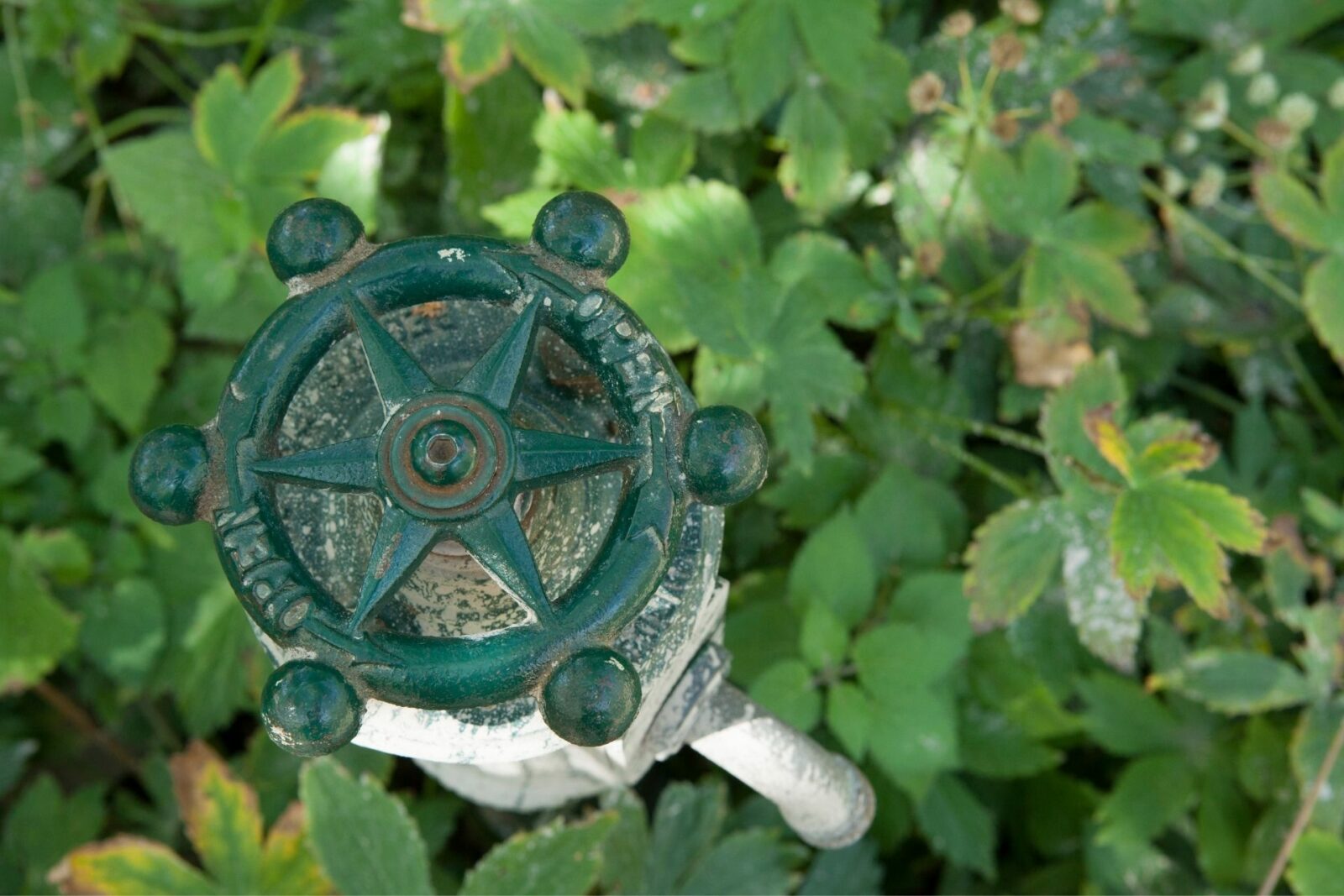 Outdoor Water Spigots