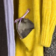 Prevent Moths from Infesting Your Closet