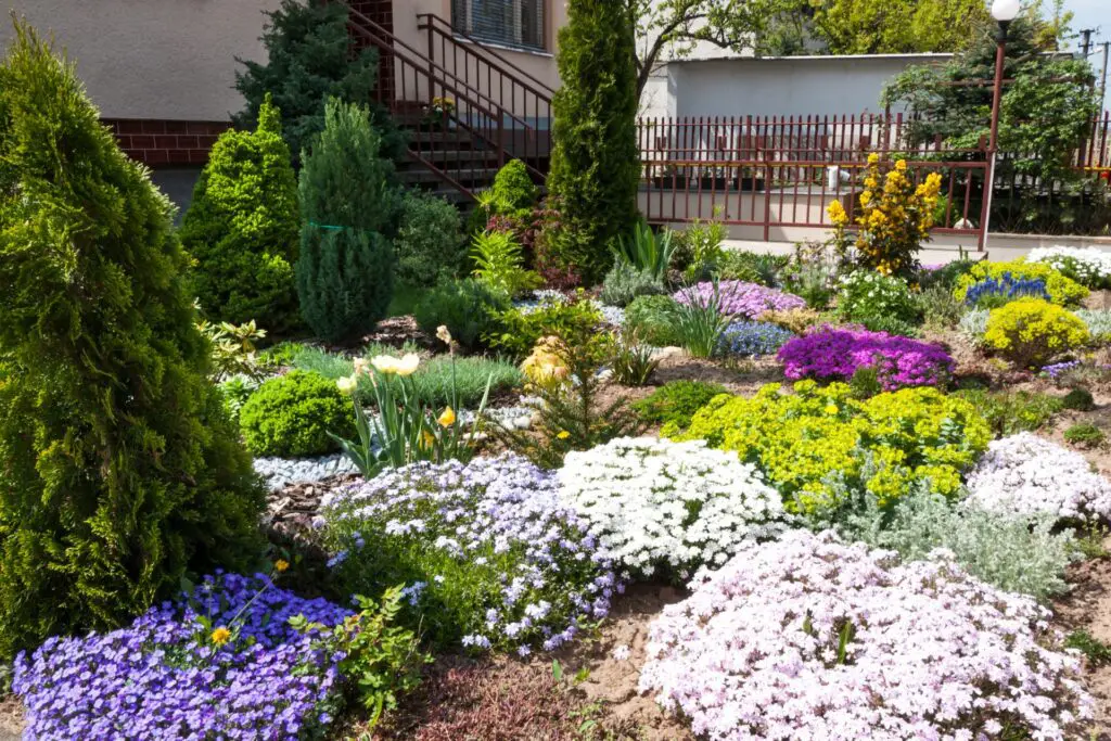 cheap simple front yard landscaping ideas