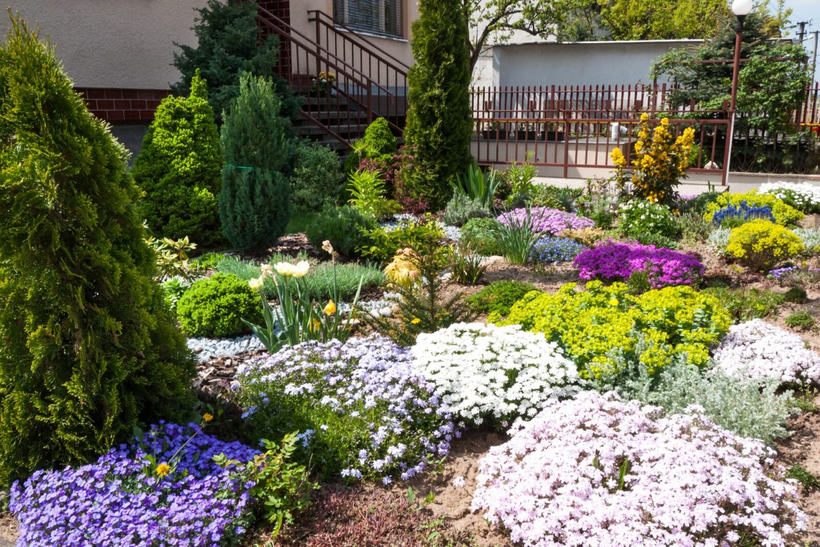 cheap simple front yard landscaping ideas