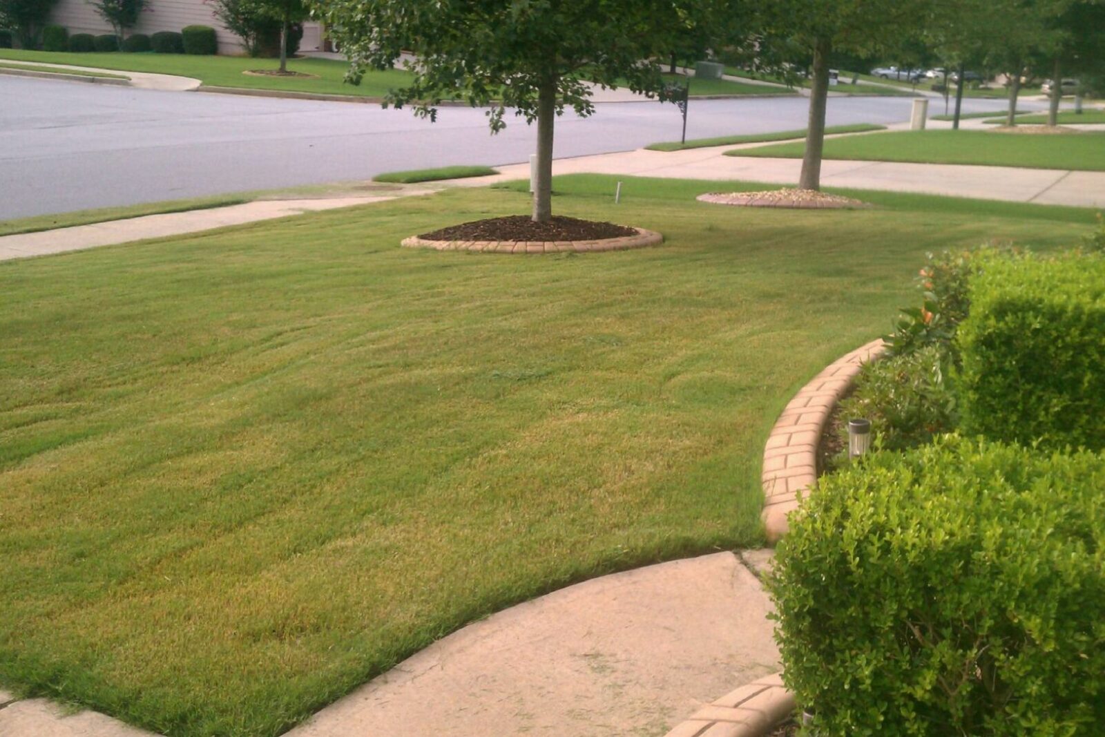 modern front yard landscaping