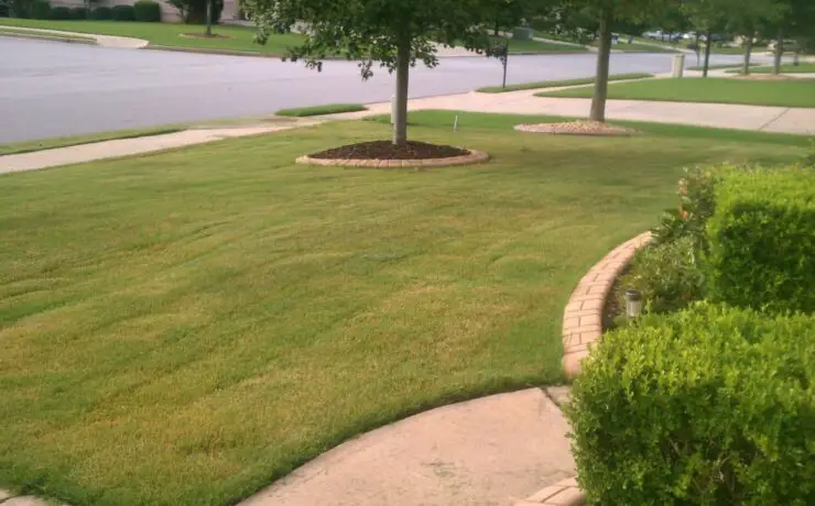 modern front yard landscaping