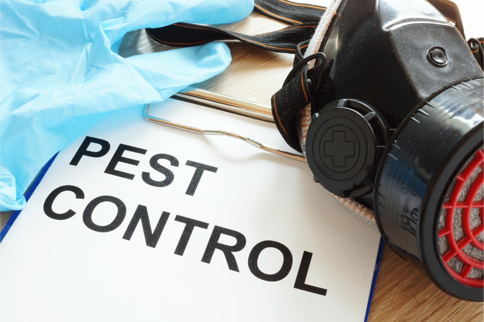 Natural Pest Control and Prevention Tips