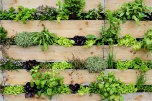 how to build an indoor vertical garden