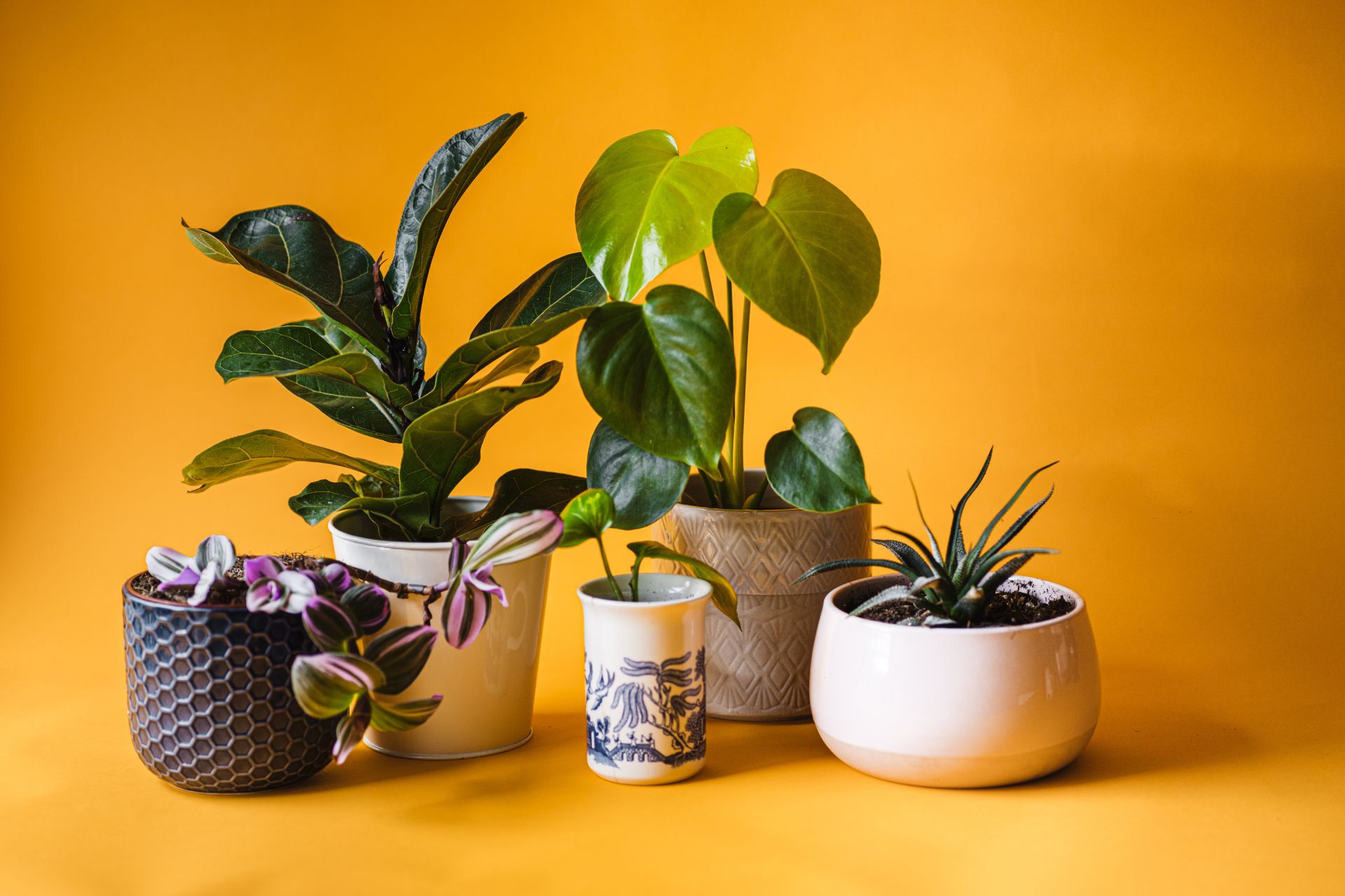 what-to-put-in-bottom-of-indoor-planter-for-drainage