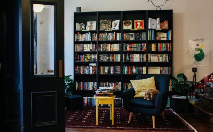 bookshelf cabinet