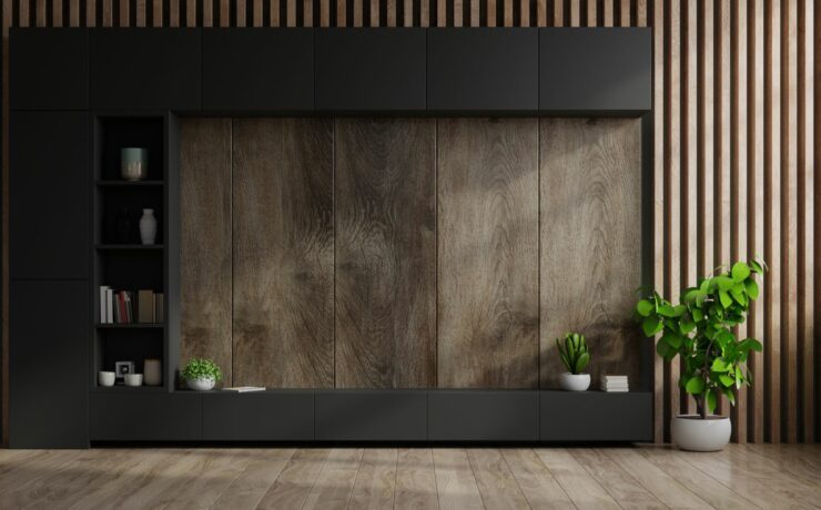 hidden tv cabinet