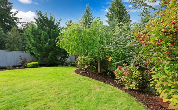 backyard remodeling