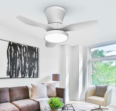 living room ceiling fan