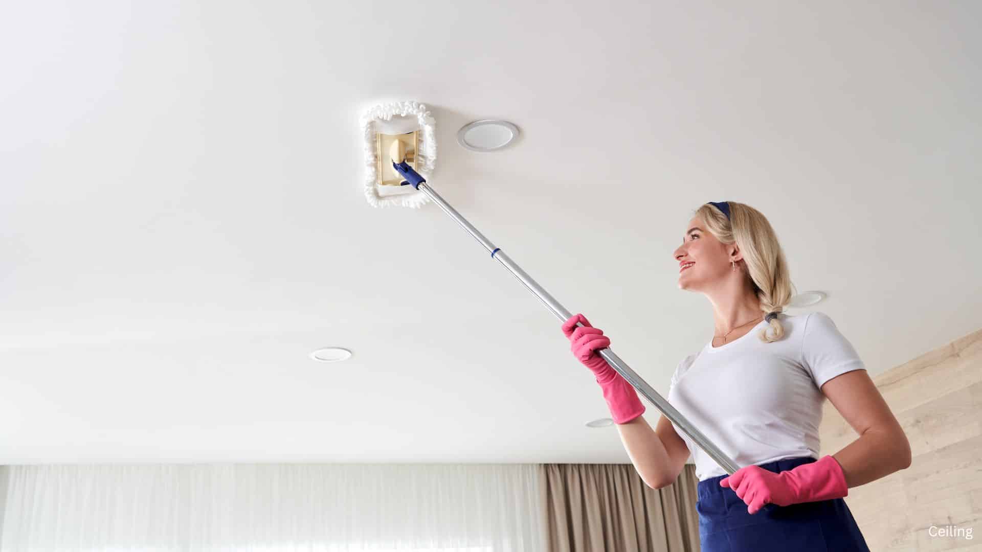 Ceiling Cleaning - The Home Atlas 