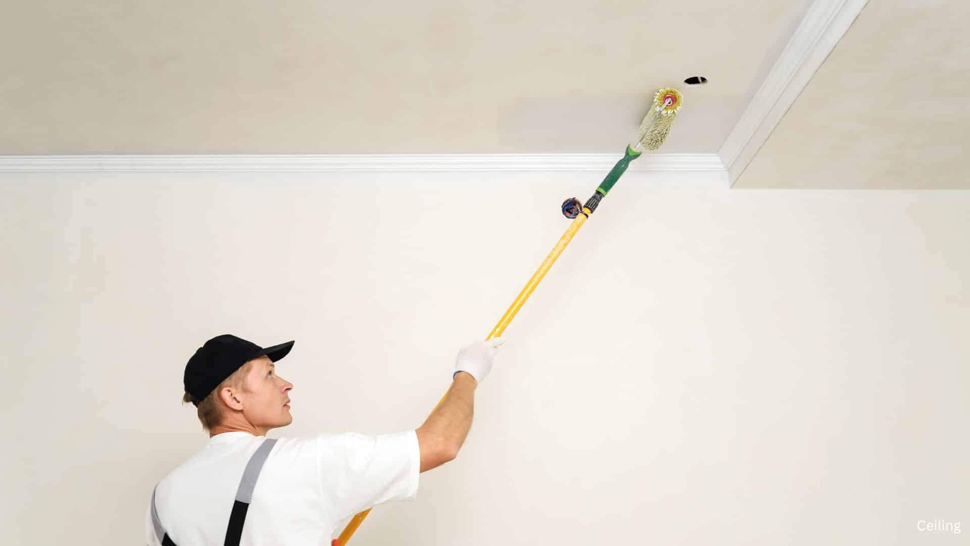 Ceiling Cleaning - The Home Atlas 