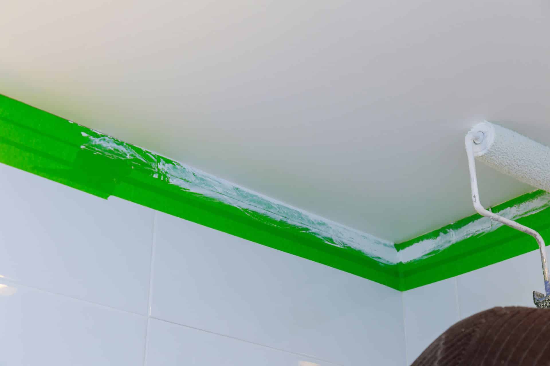 Painting a newly plastered bathroom ceiling