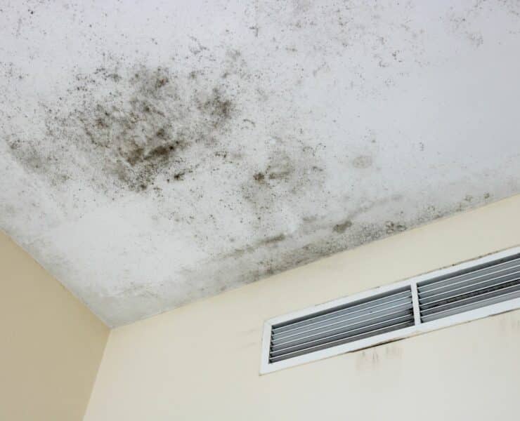how to remove mold from bathroom ceiling