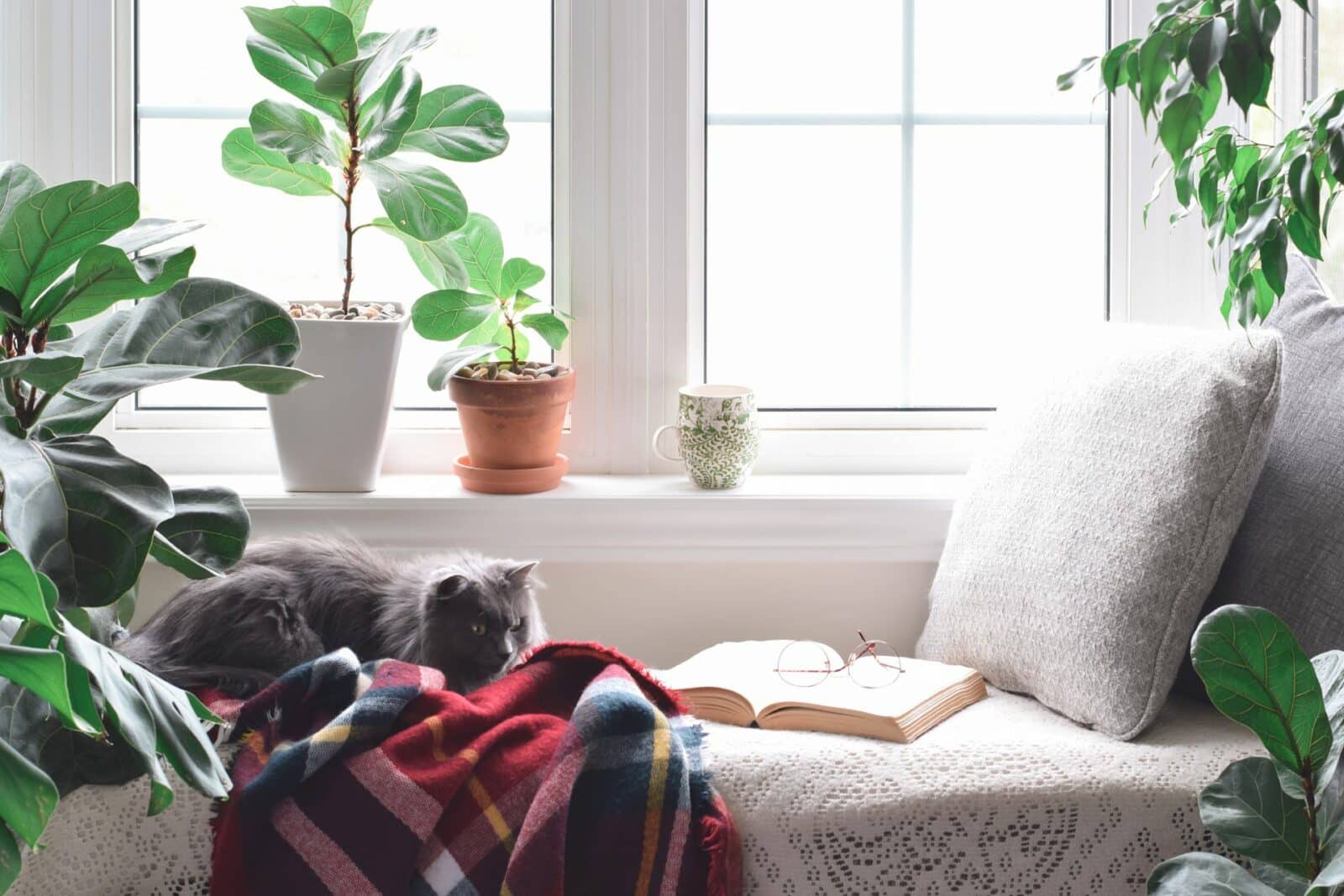 How to Create a Cozy Reading Nook in Your Home?