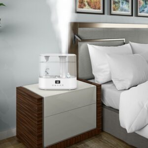 can you use an air purifier and humidifier together