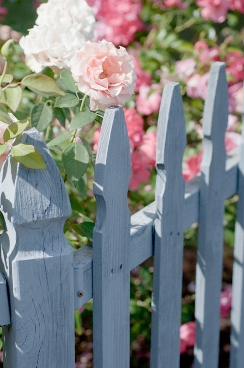 wood fence paint color ideas