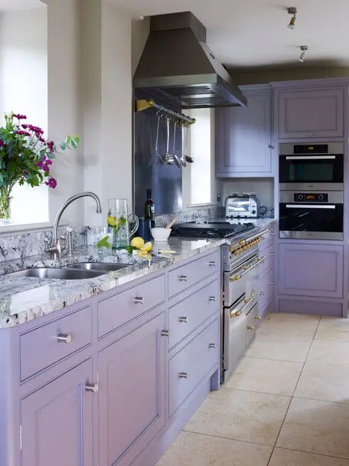 purple kitchen cabinets