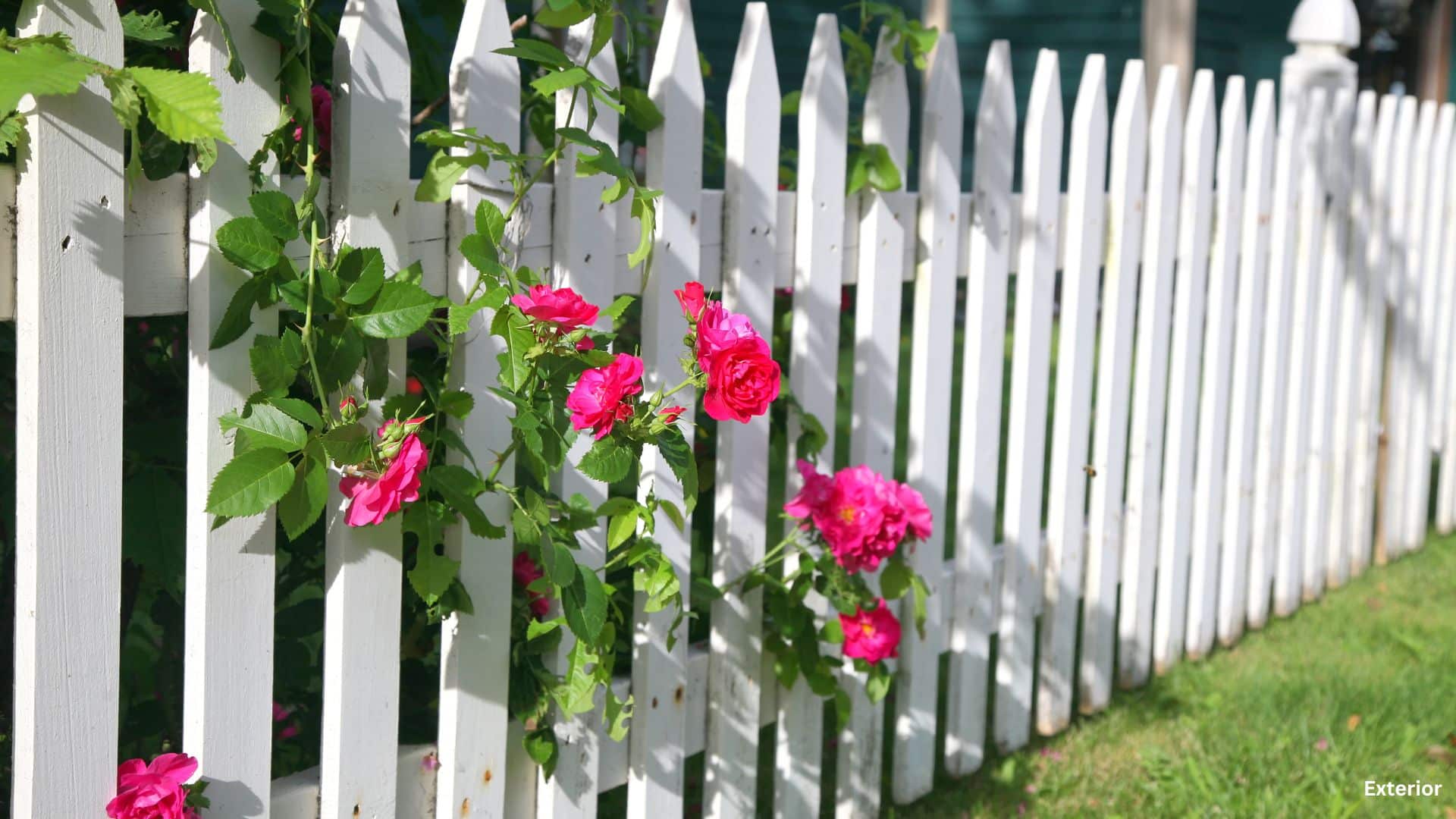 Picket Fence Ideas - The Home Atlas