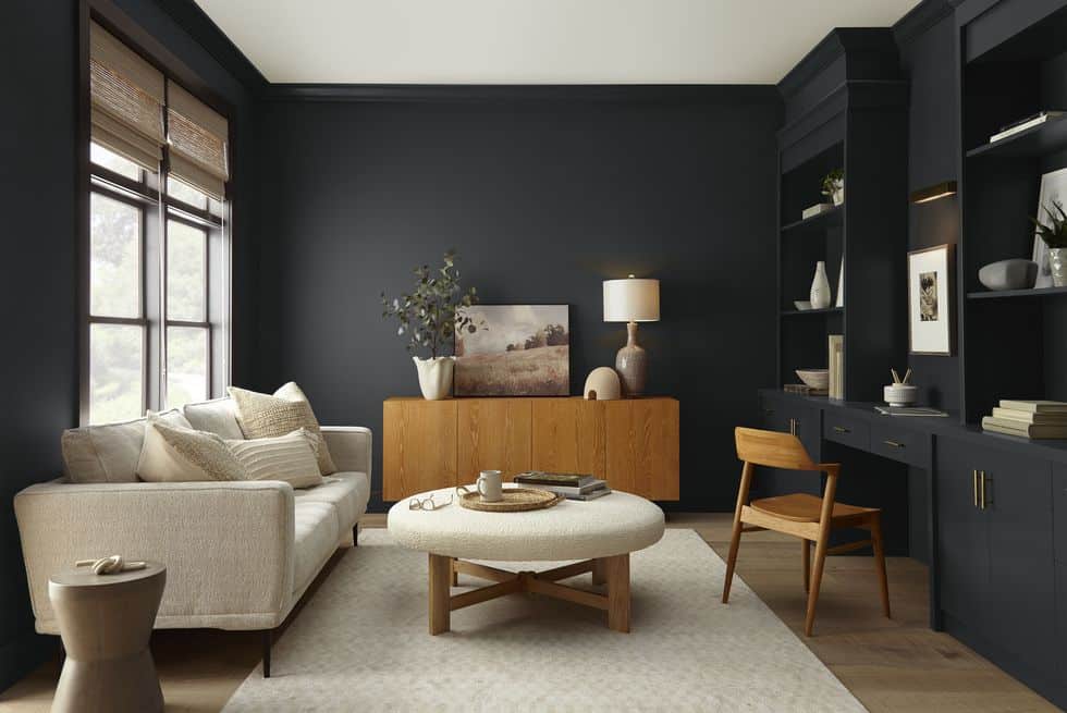 coty 2024 paint color of the year