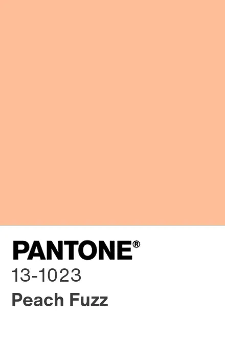 2024 color of the year peach fuzz