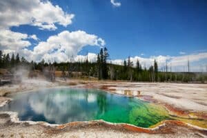 donation to yellowstone national park