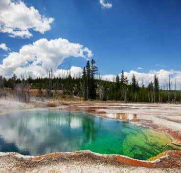 donation to yellowstone national park