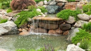 Backyard Water Feature Ideas