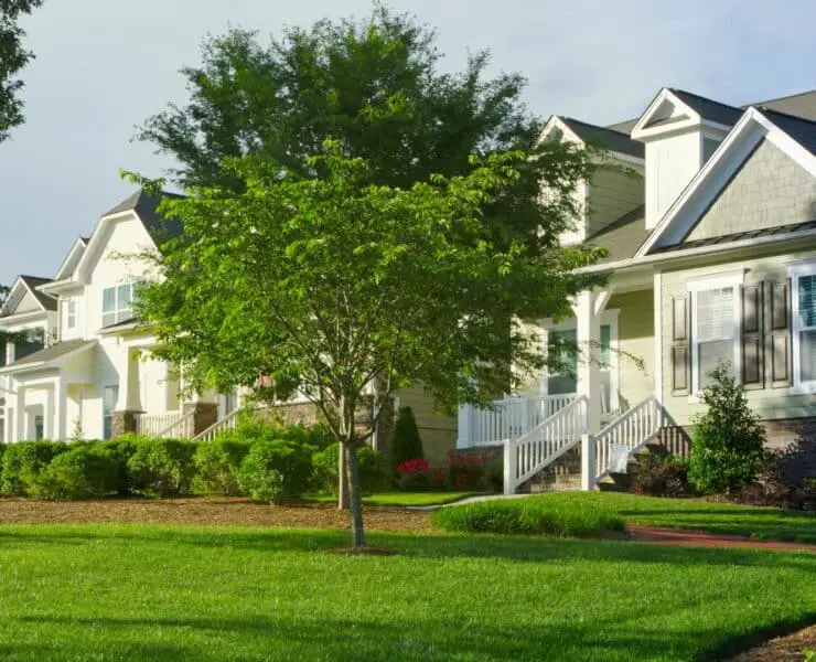 Single-family home yard leasing