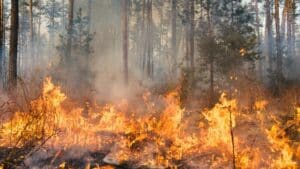 Wildfire Home Protection: Essential Steps to Safeguard Your Property | The Home Atlas