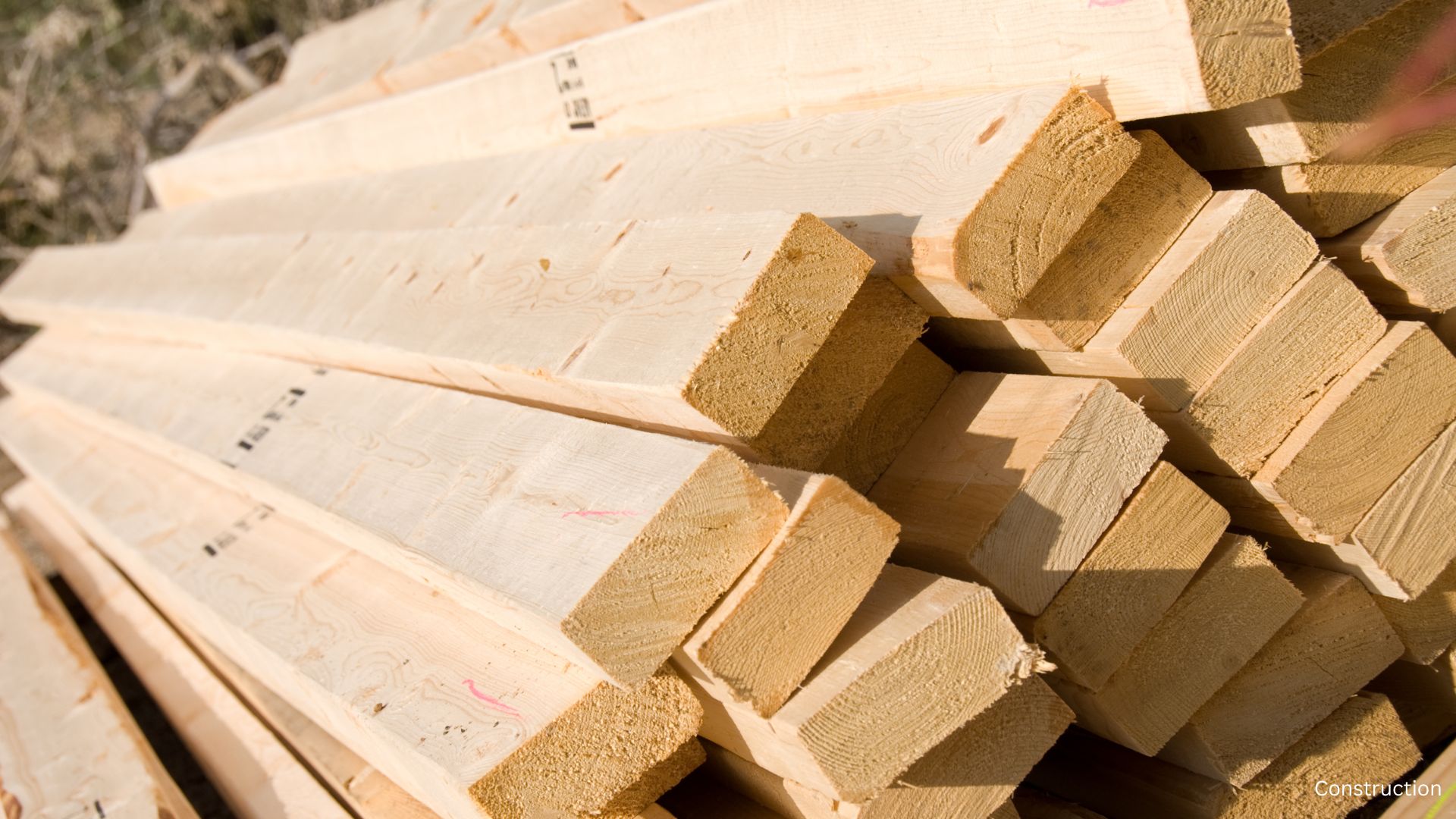 Lumber Prices Spike - The Home Atlas