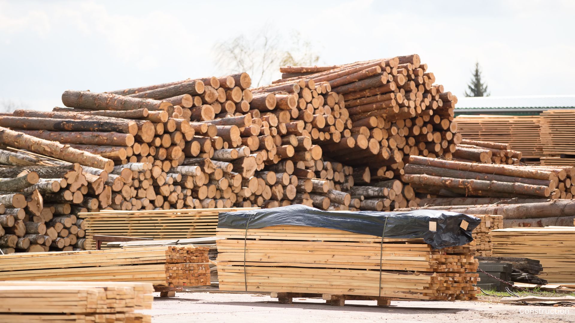 Lumber Prices Spike - The Home Atlas